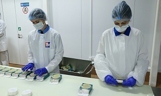 В Вилейке открыли первый в стране завод по выпуску сыра с белой плесенью