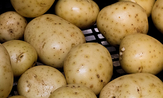Нескольких поставщиков картофеля оштрафовали за завышение цен