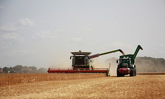 Стало известно, какой урожай зерна планируют собрать в Беларуси в этом году