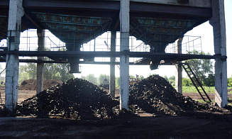 Беларусь экспортирует продукцию из торфа в 20 стран