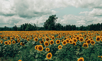 Лето вернется? Синоптики рассказали, что будет с погодой в предпоследние выходные августа