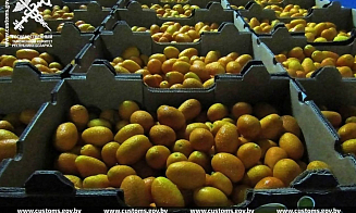 В Беларусь пытались незаконно провезти 3 тонны кокосов и 20 тонн арбузов