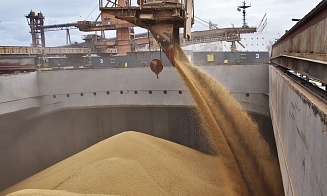 Пять стран ЕС требуют продлить эмбарго на ввоз украинского зерна