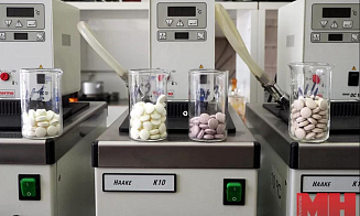 В Беларуси запустят производство необычных конфет для зожников