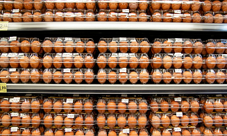 В Беларуси предлагают убрать льготы для некоторых видов пластмассовой упаковки 