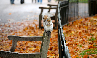 Обычная глубокая осень. Синоптик рассказал, какая погода будет на неделе с 20 октября