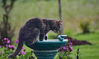 Так что там с летом? Прогноз погоды на новую рабочую неделю