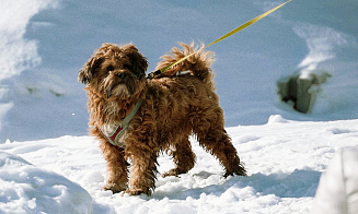 Стоит ли ждать снег и морозы? Прогноз погоды на рабочую неделю