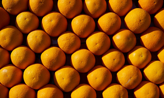 Через белорусскую биржу впервые продали партию апельсинов