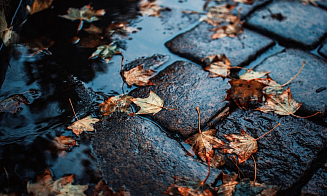Осень давит на сердце: как перепады погоды и курение наносят двойной удар по здоровью