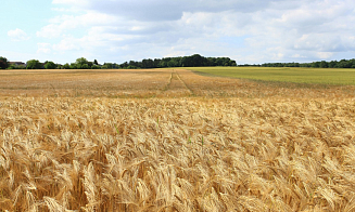 Латвия продлила на год запрет на импорт сельхозпродукции из Беларуси и России