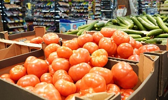 Минсельхозпрод рассказал, как белорусов обеспечат огурцами и томатами в межсезонье