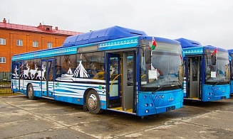 Белорусские автобусы вернули на маршруты Санкт-Петербурга