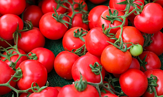 Белорусские школьники отправят в космос помидоры