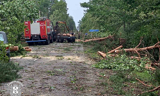 Синоптики рассказали, что случилось с погодой в выходные