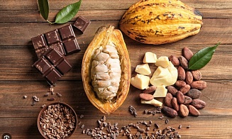 Экологичный шоколад станет дороже: производители какао-бобов объяснили почему