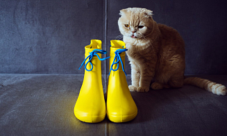 Жарко, но с дождями и грозами. Синоптики предупредили о непогоде в выходные