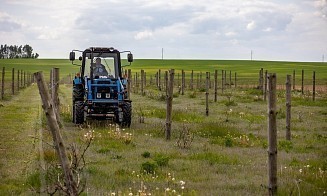 В Беларуси скорректировали перечень запрещенных работ для подростков