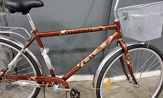 В Беларуси запретили продавать одну из моделей российских велосипедов Stels