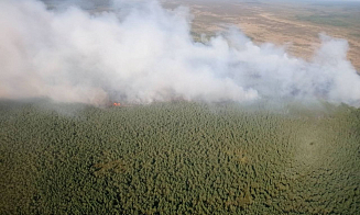 Крупный пожар на Полесье потушили за сутки