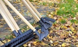 Стало известно, когда в Беларуси пройдет республиканский субботник