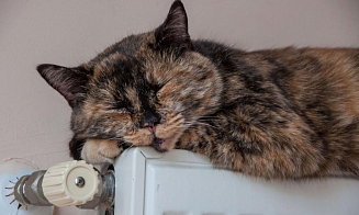 В Беларуси будут включать отопление после трех, а не пяти холодных дней