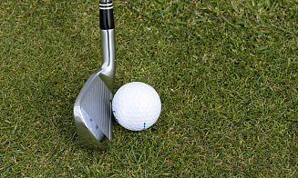 Муха помогла британскому гольфисту выиграть $910 тыс.