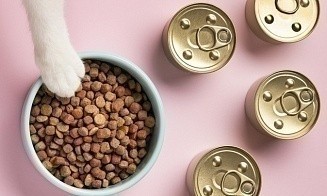 Россельхознадзор просит Беларусь прекратить поставки в Россию кормов для животных из ЕС