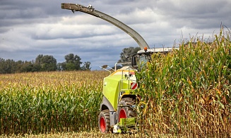 Минсельхозпрод подтвердил снижение урожая зерновых на 1 млн тонн