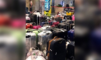 В московском аэропорту Внуково — коллапс: сломались все багажные ленты