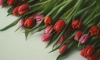 В Беларуси проверили работу продавцов цветов. Какие нарушения нашли