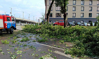 Упавшие деревья и поврежденные машины. В МЧС рассказали о последствиях непогоды 5 июня