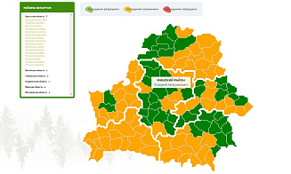 В одной из областей Беларуси ограничили посещение лесов во всех районах 