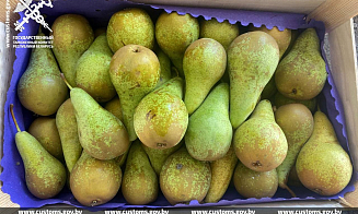 На белорусско-российской границе задержали два грузовика с грушами