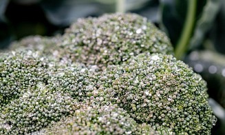 В межсезонье в ЕАЭС обнулили ввозную пошлину на некоторые овощи