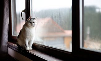 Вместо дождей — мокрый снег. Синоптик рассказал о погоде на неделе с 17 ноября