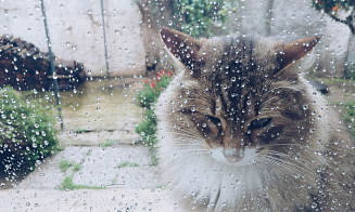 От плюс 33°С до резкого похолодания. Синоптики предупредили о смене погоды в выходные