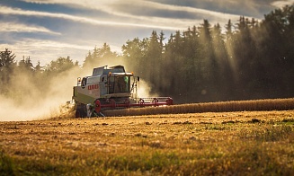 В правительстве рассказали, какой урожай собрали в Беларуси в 2023 году