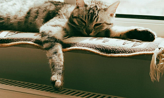 В Беларуси начали включать отопление в квартирах