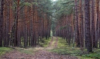 Как в Беларуси зарабатывают на охоте