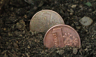 Совмин определил, как должна расти экономика Беларуси в 2026 году