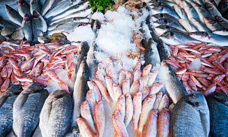 Декларирование импортной рыбы в ЕАЭС скоро отменят