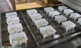 «Молочный мир» запустил в Щучине производство моцареллы и пиццы-чиз