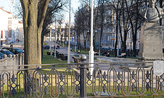 Глава Мингорсовета рассказал, какие деревья больше не будут высаживать в Минске