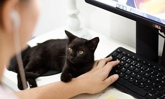 Еще одна схема мошенников: кража учетных данных через рассылку инструкций от отдела кадров