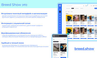 Белорусская IT-компания запустила платформу для автоматизации питомников для животных