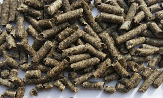 Белорусские сахарные заводы начали продавать свою продукцию в ОАЭ через биржу. Но это не сахар