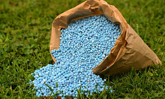 Великобритания введет дополнительные пошлины на импорт азотных удобрений из Беларуси