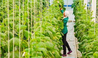 Министерство образования определило самые востребованные экономикой профессии