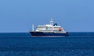 В Европе выявили смертоносный хантавирус. Что это такое и есть ли риск новой пандемии
